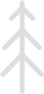 pine-1