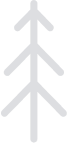 pine-4